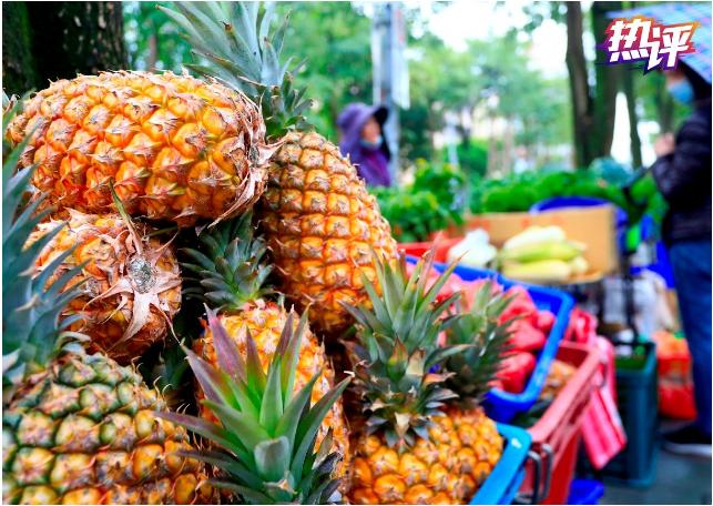 前有凤梨后有香蕉 台湾水果接连被拒绝非“个案”!