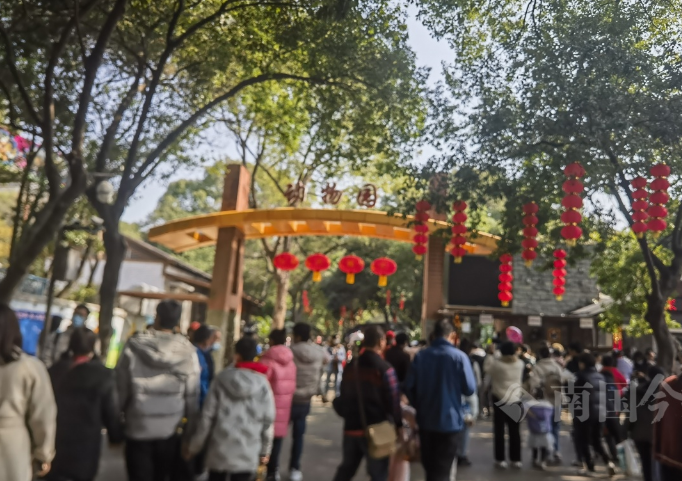 柳州动物园里“开盲盒”！热心人为小动物送新年礼