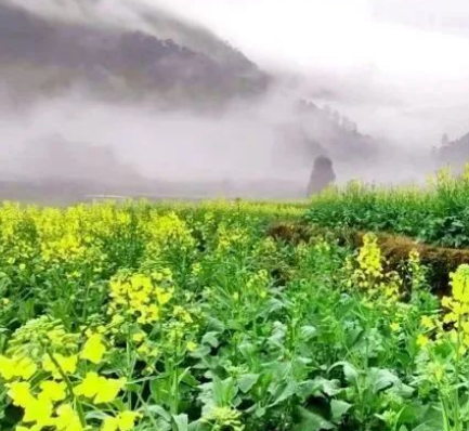 一回南，广西就变成了水墨丹青