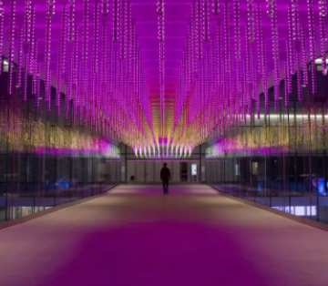 满眼皆是星光!旧金山湾区绝美圣诞灯展~附:宝藏街区地图