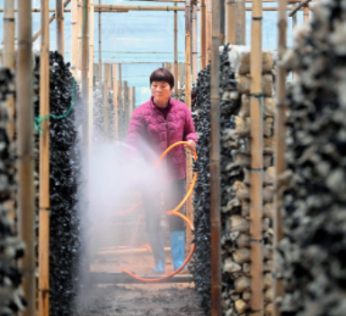 《瞭望》周刊关注柳州：为一碗粉，去一座城