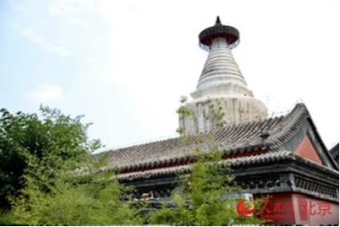 北京：精细化治理让城市有“里儿”更有“面儿”   