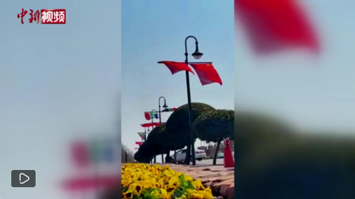 王毅会见委内瑞拉副总统：中委已结成牢不可破的“铁杆”友谊！