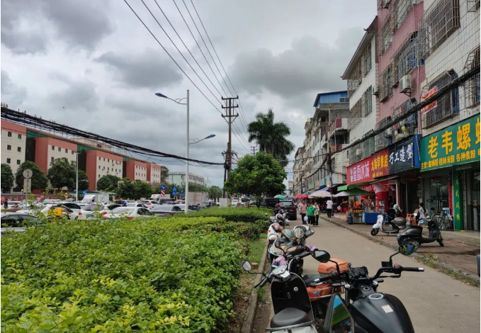 今天，钦州幼专新生注册，小车好多，停满了道路两旁…