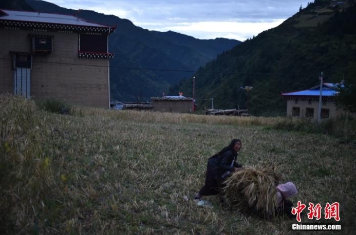 【打卡中国新坐标】中国温度，“数智春风”吹暖雪域高原!