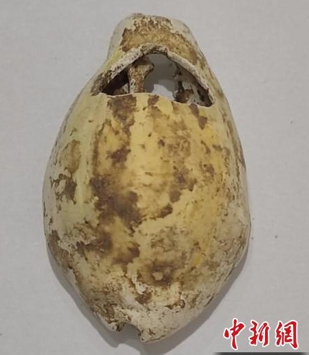 （寻味中华 | 文博）沿千年航海足迹 觅丝路货币变迁！