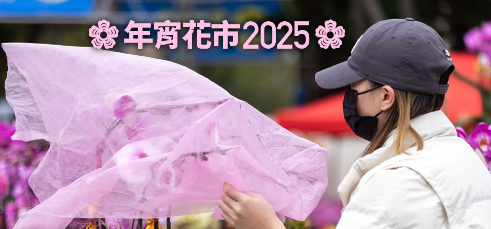 年宵花市2025｜全港15大年宵市场开放时间及地址维园封路一览