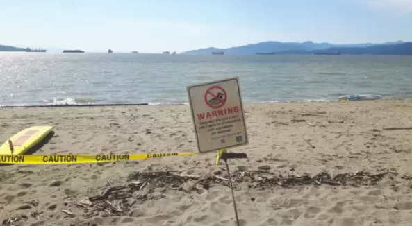 大温多处网红海滩被曝“屎”量超标！能不去，就别去了！