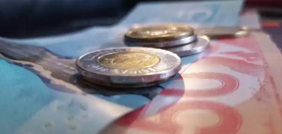 这项福利本月上涨！8月加拿大政府7项福利金发放指南
