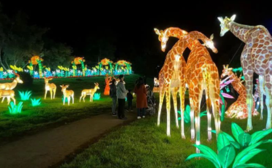 1679641814134277.png blob.png