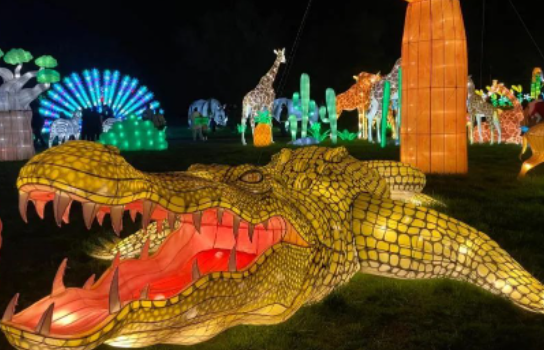 1679641825436739.png blob.png