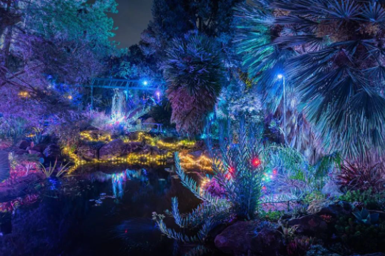 1679641837655973.png blob.png