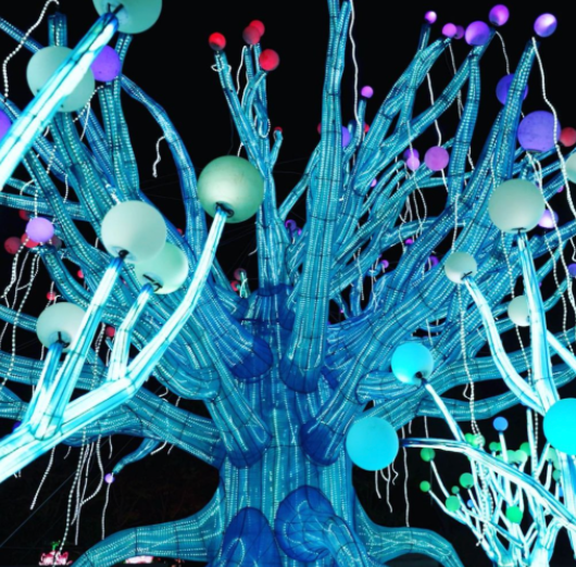 1679641877833511.png blob.png