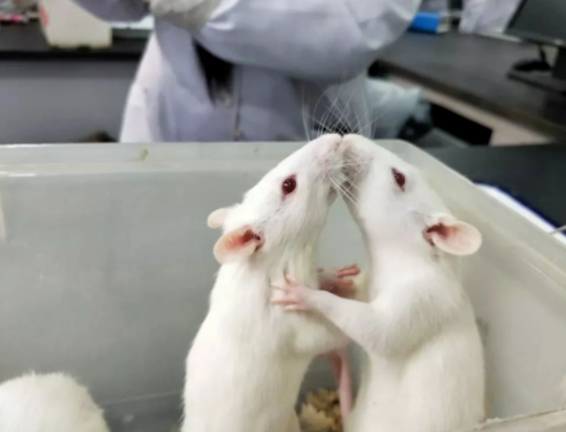 1679726375183965.png blob.png