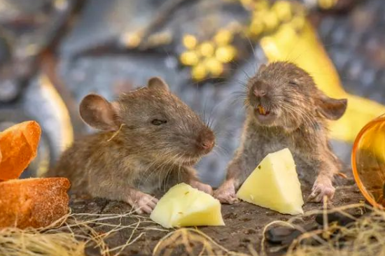 1679726396752908.png blob.png