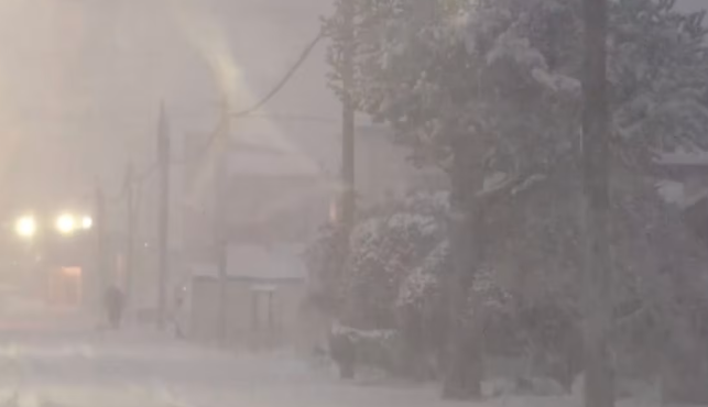 日本北至中部暴风雪加剧 北海道恐迎强风暴雪天气