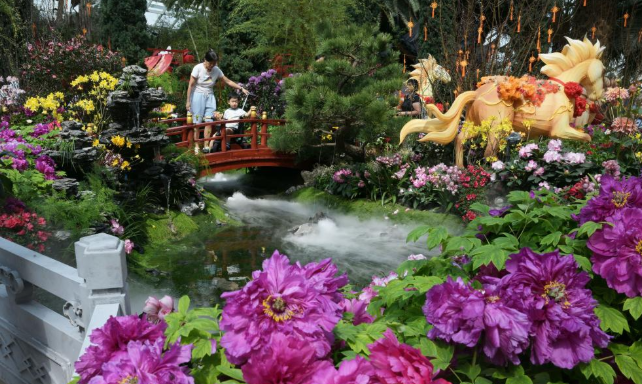 新加坡花园里的江南春色