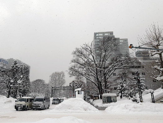 日本多地持续强降雪已致14人死亡