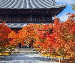 日本连续两年获评“最受欢迎度假国家”！温泉、传统文化和地方旅游成亮点